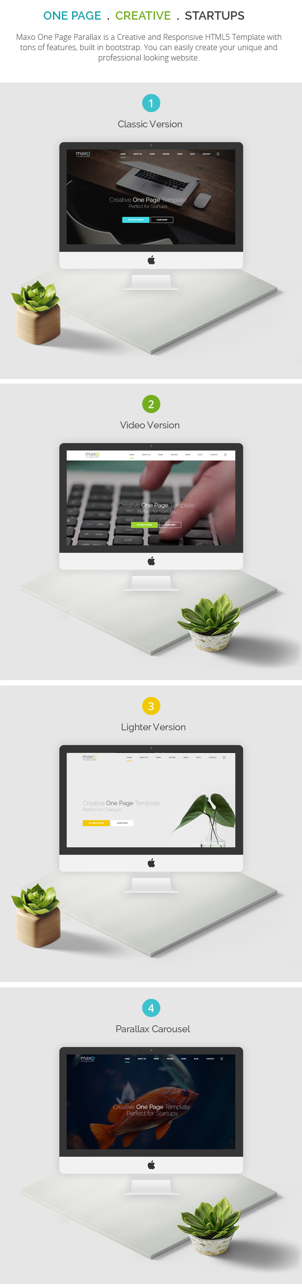 Maxo - One Page Parallax - 3