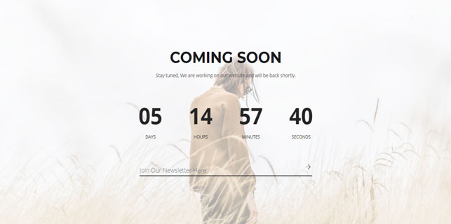 demo_preview