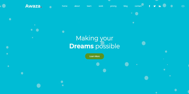 demo_preview