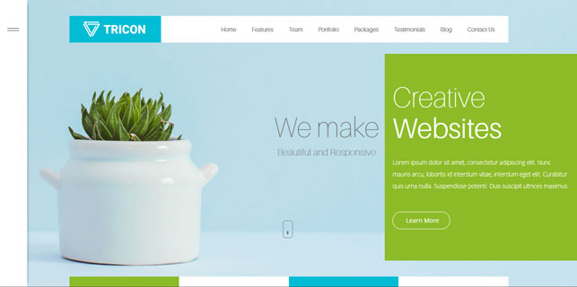 demo_preview