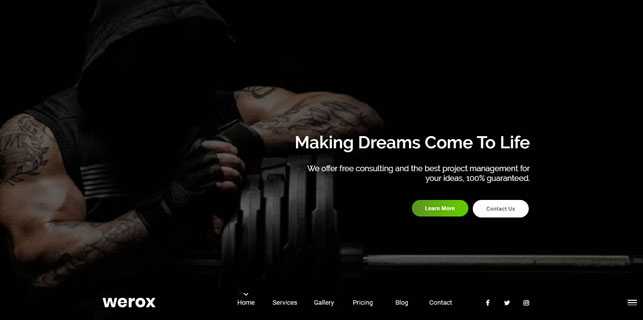 demo_preview