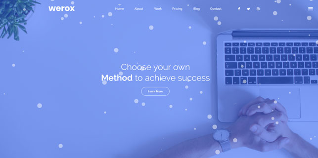 demo_preview